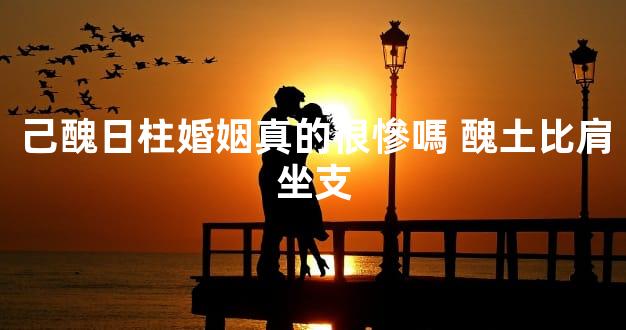 己醜日柱婚姻真的很慘嗎 醜土比肩坐支